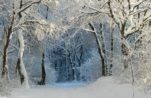 Winter outdoor po Polsku
